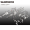 Kugellager für Schnurlaufröllchen Shimano Stradic 2500 FL