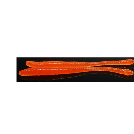 Libra Lures Dying Worm Käse 011-hot orange limited edition