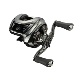 Daiwa 24 Steez SV TW 100HL