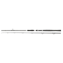 Penn Legion Cat Silver Boat Spin 210 40-160g rod