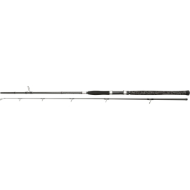 Penn Legion Cat Silver Spin 240 40 - 160g rod