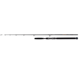 Shimano Beastmaster AX Catfish 220cm 120g 2pc Welsrute