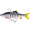 Westin Ricky The Roach Multi Jointed R2F 14 cm-41g-Sinking Real Roach