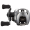 Daiwa 21 Zillion SV TW 1000HL