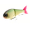 Swimbait Republic Glideway 176