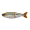 Swimbait Republic Glideway 126 #7 PURPLE SHINER