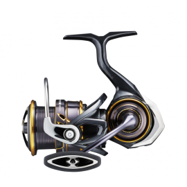 Daiwa 21 CALDIA MQ LT 2500