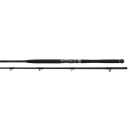 Bullseye Nazgul 300 LR 40lbs Wallerrute