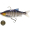 Westin Ricky The Roach Multi Jointed R2F 14 cm-41g-Sinking Headlight UV Roach