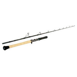 Sportex Top Cat CS-2 TC1909 1,92m //100-300g