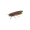 Nays BG 2.0" 5.1cm (6Stk) C-27
