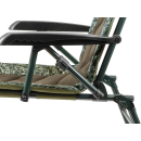 Delphin Delphin GUARDIAN Chair C2G