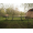 Delphin EazyEIGHT 8 Karpfen Camping Liege