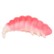 Pink/White