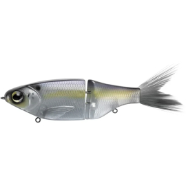 Gizzard Shad