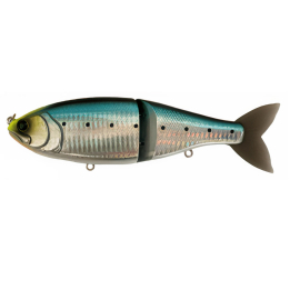 #18 JDM SARDINE