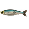 #18 JDM SARDINE
