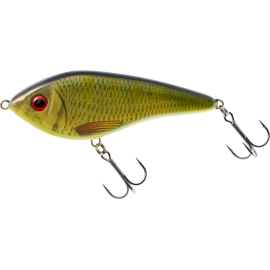 TC Roach/Perch