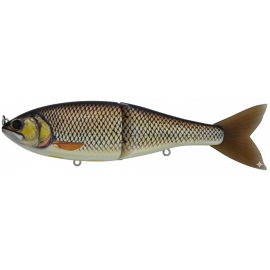 #30 EO Carp