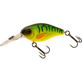 Matt Tiger