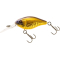 Gold Shad