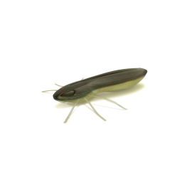 C-32