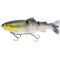 Headlight Deluxe Trout