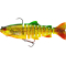Firetiger Trout