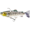 Headlight Deluxe Trout